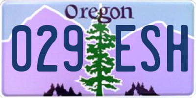 OR license plate 029ESH