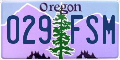 OR license plate 029FSM