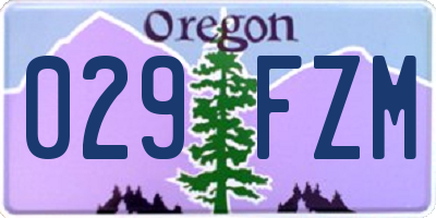 OR license plate 029FZM