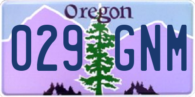 OR license plate 029GNM
