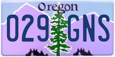 OR license plate 029GNS