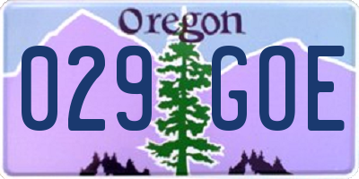 OR license plate 029GOE