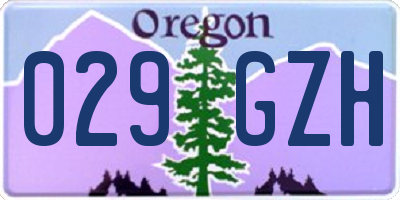 OR license plate 029GZH