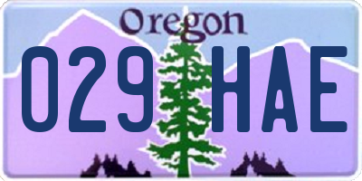 OR license plate 029HAE