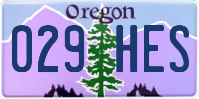 OR license plate 029HES
