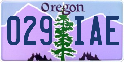OR license plate 029IAE