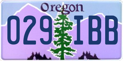 OR license plate 029IBB