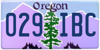 OR license plate 029IBC