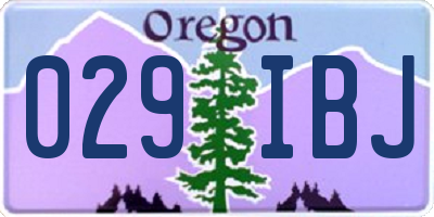 OR license plate 029IBJ