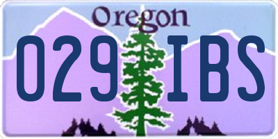 OR license plate 029IBS