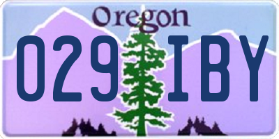 OR license plate 029IBY