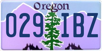 OR license plate 029IBZ