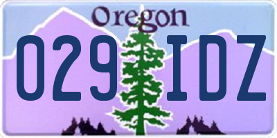 OR license plate 029IDZ