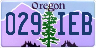 OR license plate 029IEB