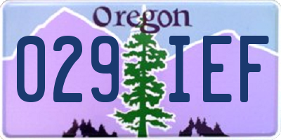 OR license plate 029IEF