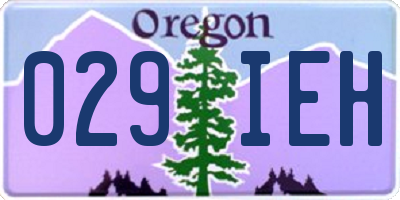 OR license plate 029IEH