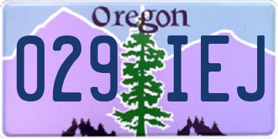 OR license plate 029IEJ
