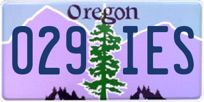 OR license plate 029IES