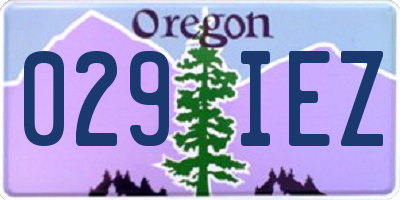 OR license plate 029IEZ