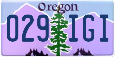 OR license plate 029IGI