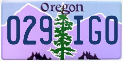 OR license plate 029IGO