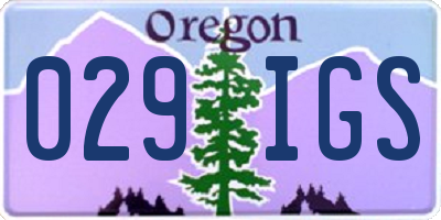 OR license plate 029IGS