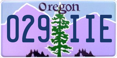 OR license plate 029IIE