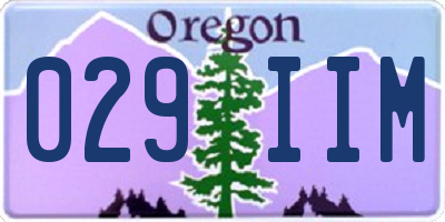 OR license plate 029IIM