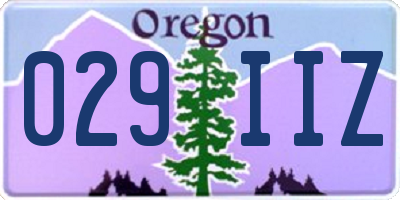 OR license plate 029IIZ