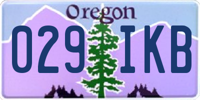 OR license plate 029IKB