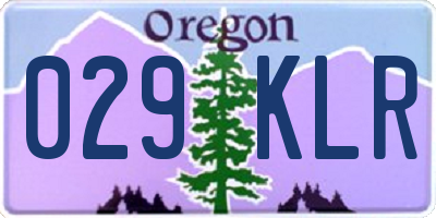OR license plate 029KLR