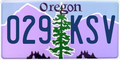 OR license plate 029KSV
