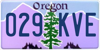 OR license plate 029KVE