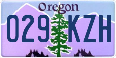 OR license plate 029KZH
