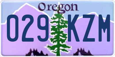 OR license plate 029KZM