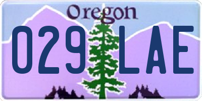 OR license plate 029LAE