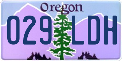 OR license plate 029LDH