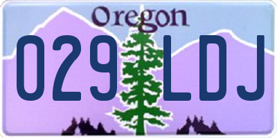 OR license plate 029LDJ