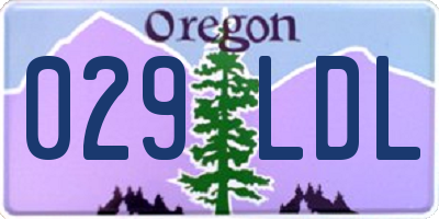 OR license plate 029LDL