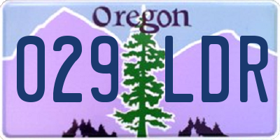 OR license plate 029LDR