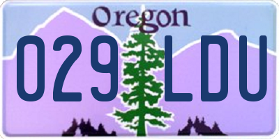 OR license plate 029LDU