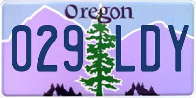 OR license plate 029LDY
