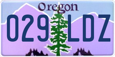 OR license plate 029LDZ