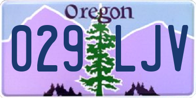 OR license plate 029LJV