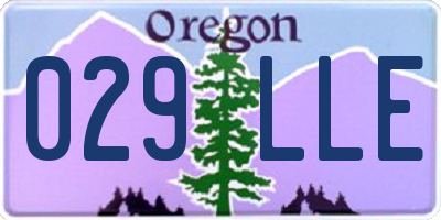 OR license plate 029LLE