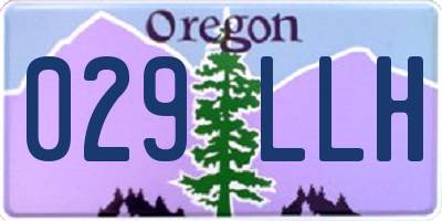 OR license plate 029LLH