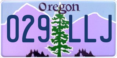 OR license plate 029LLJ
