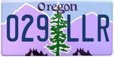OR license plate 029LLR