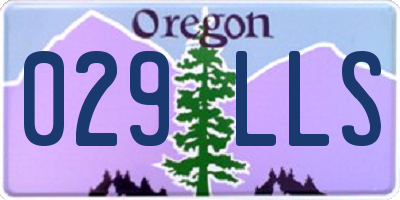 OR license plate 029LLS