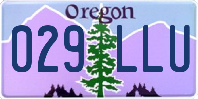 OR license plate 029LLU